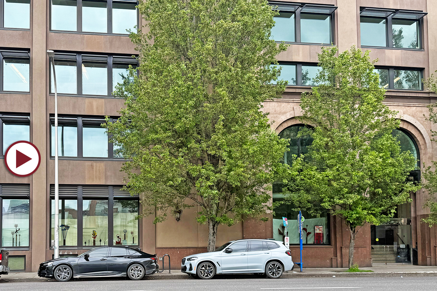 The Falcon Building Window Displays