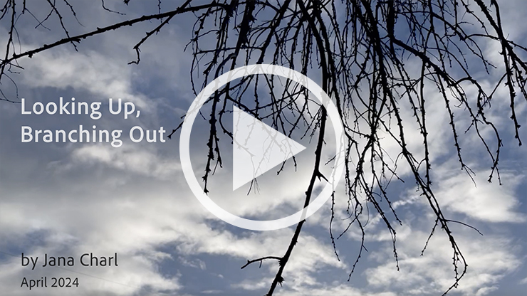 Looking Up Branching Out